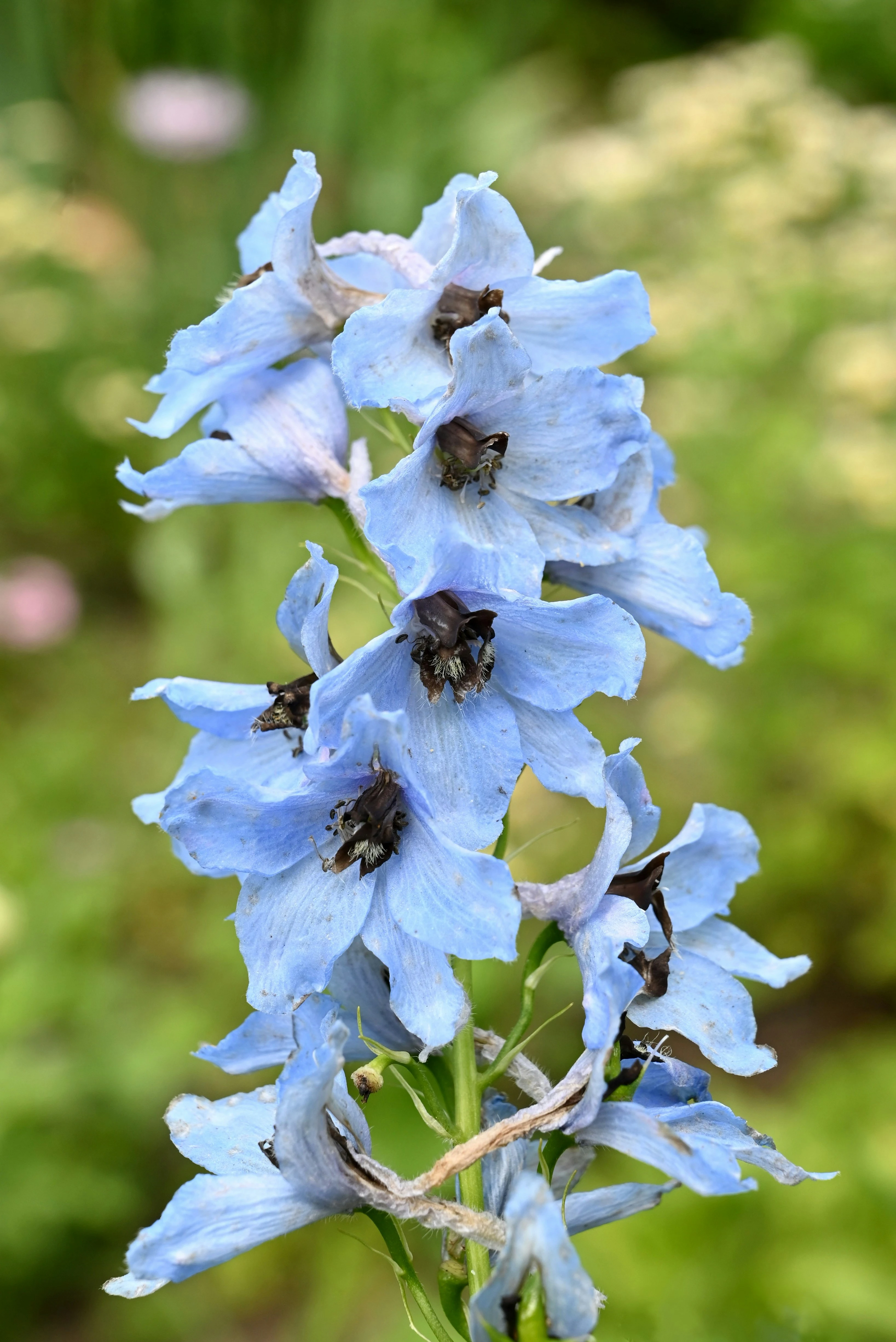 Bluesky community image 1