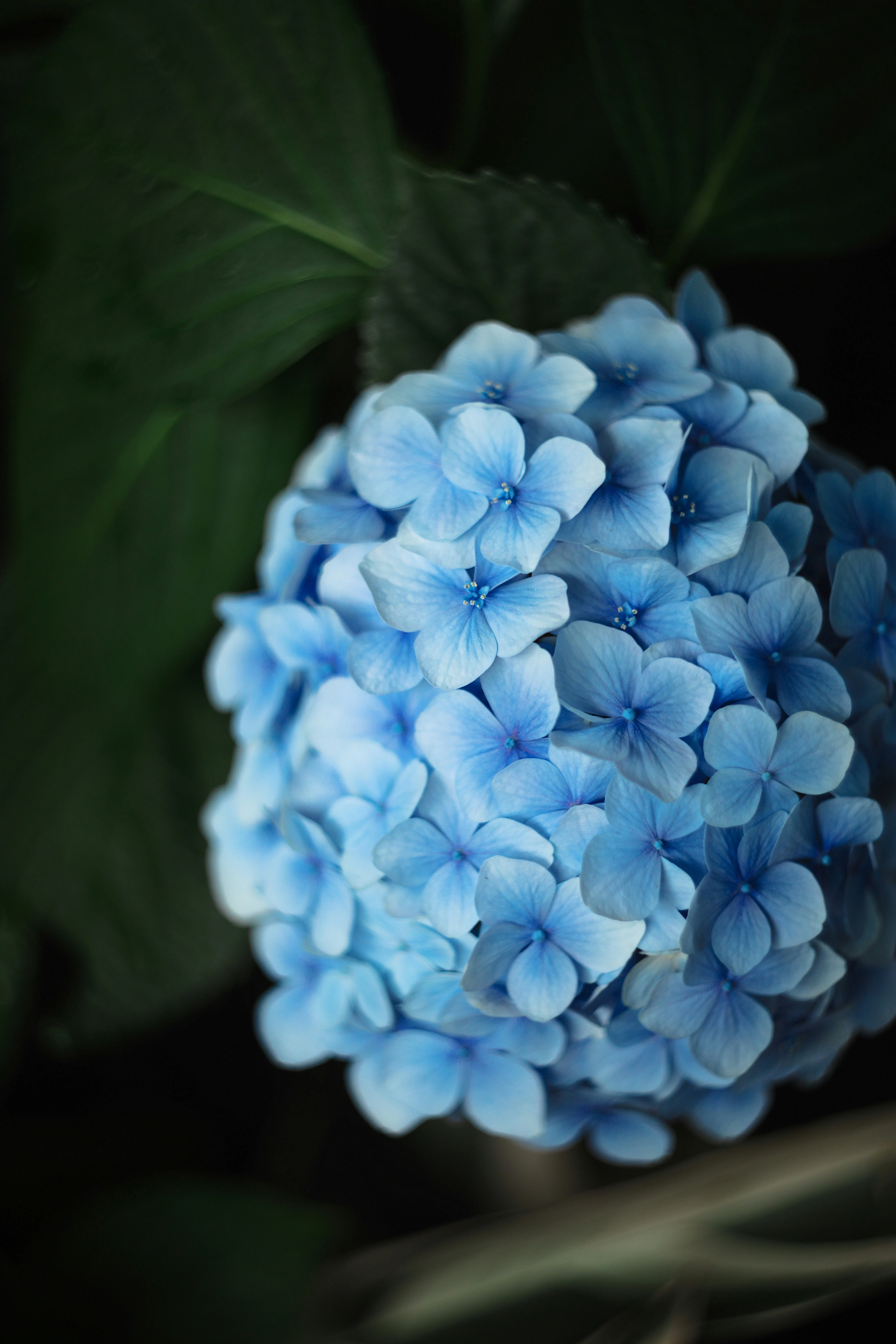 Bluesky community image 2
