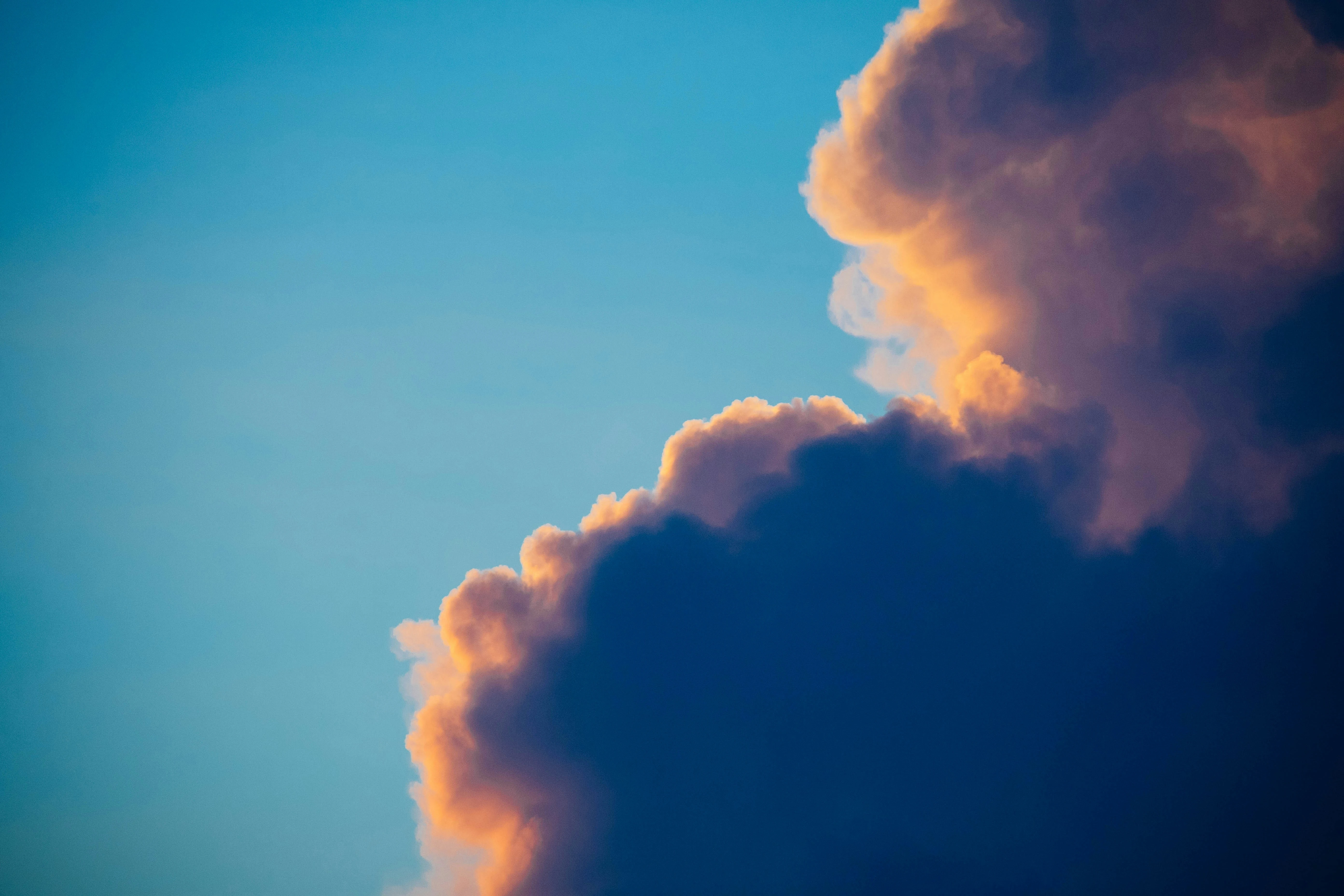 Bluesky community image 3