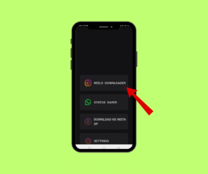 Reel Downloader