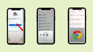 copy the data to your browser