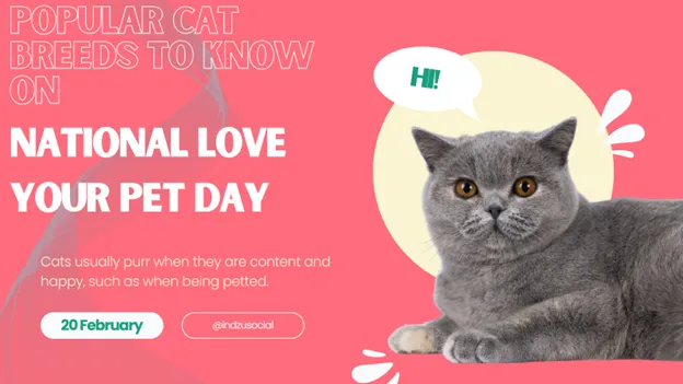 National Love Your Pet Day – February 20