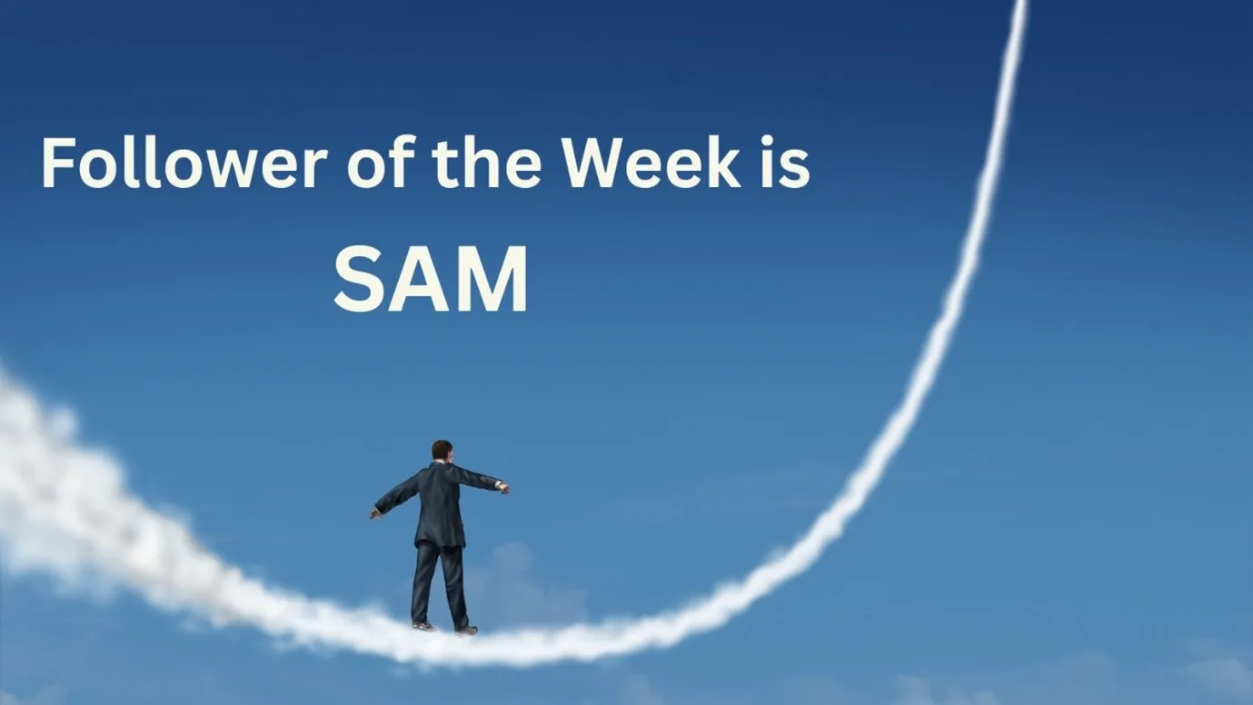 Repost a Follower’s Reel