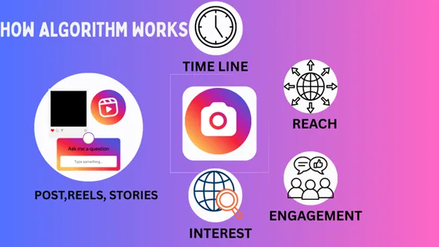 Instagram Algorithm works