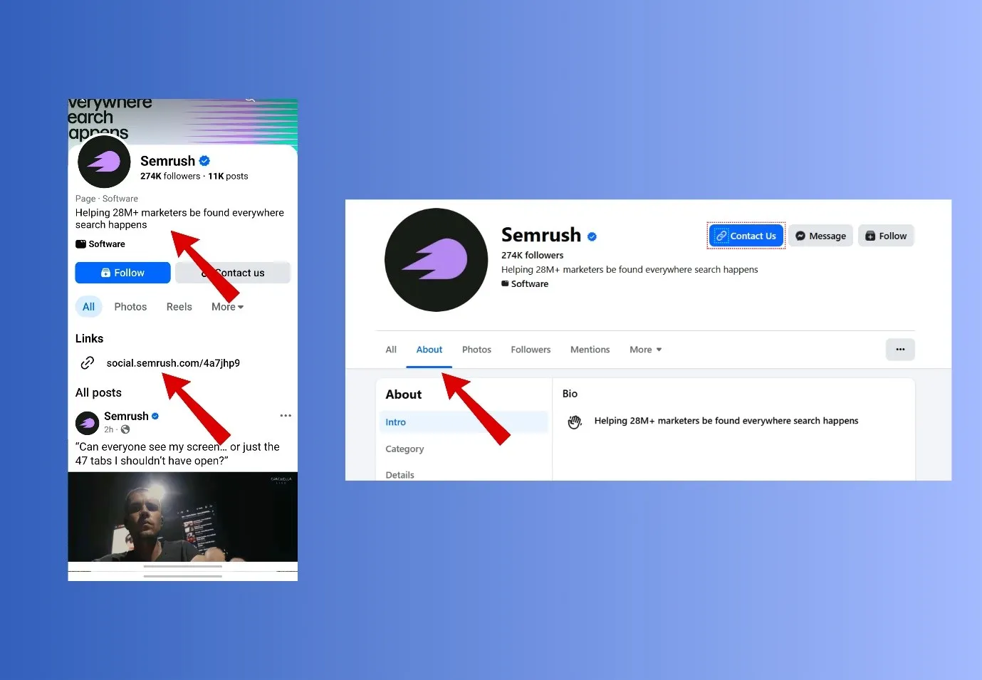 primary keyword in your Bio