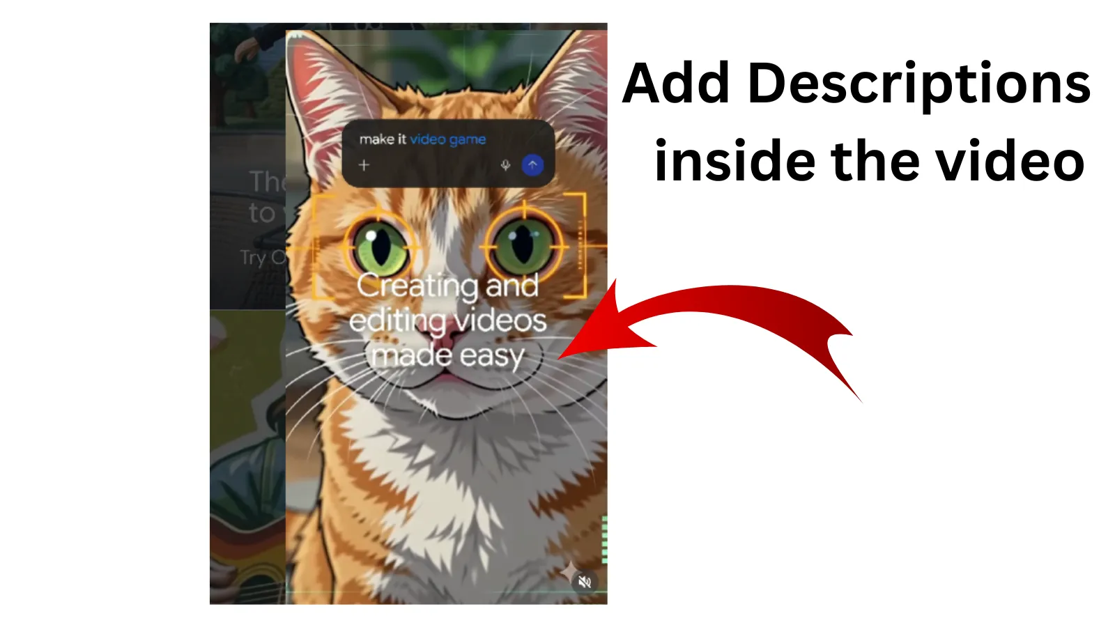 Add descriptions inside the video